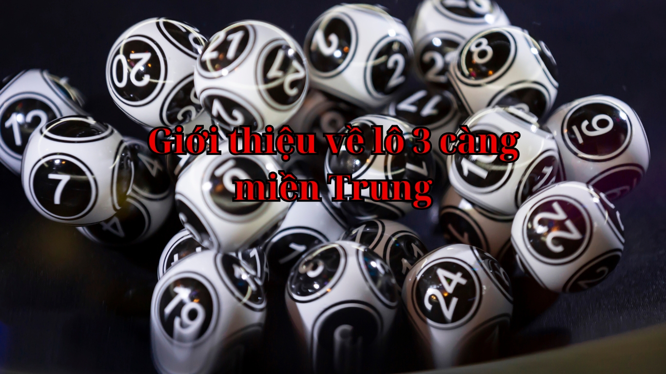 Giới thiệu về lô 3 càng miền Trung